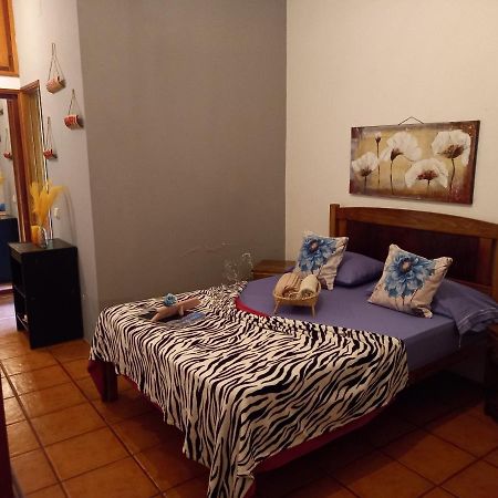 Divin'Art Bed and Breakfast Ribeira Grande Exteriör bild